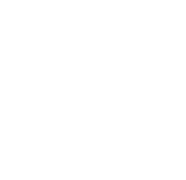 10agustos.com